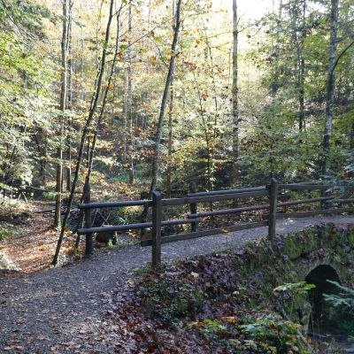 08 Idylischer Wanderweg 